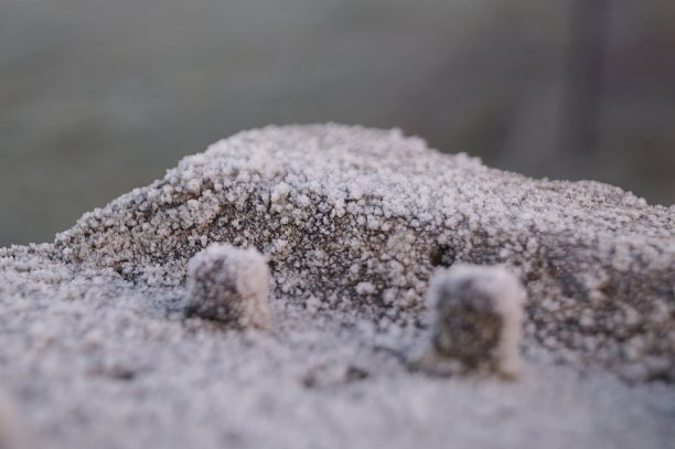 第一场雪图片下载