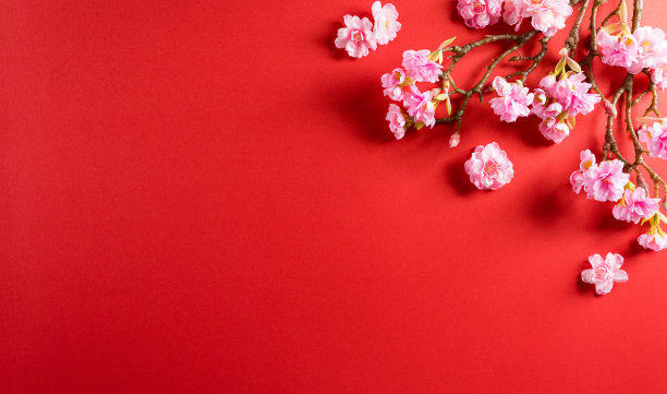 中国新年节日装饰由梅花在红色的背景。平放，顶视图与文字空间。图片下载
