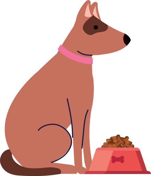 可爱的狗宠物与食物在盘子上白色图片下载