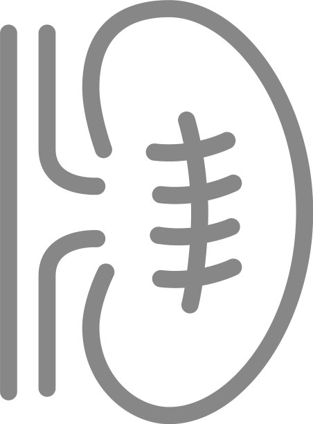 肾线上的疤痕标志肾结石移除图片下载
