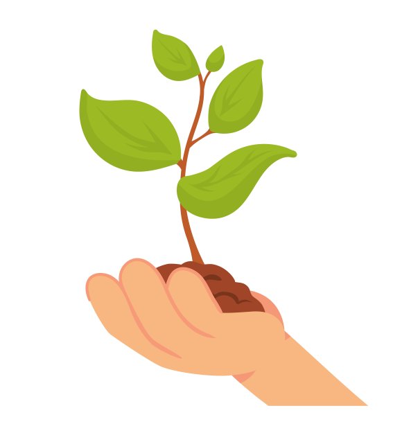 绿芽在手图片下载