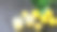 成熟的柠檬水果和新鲜的柠檬在灰色的背景。图片下载