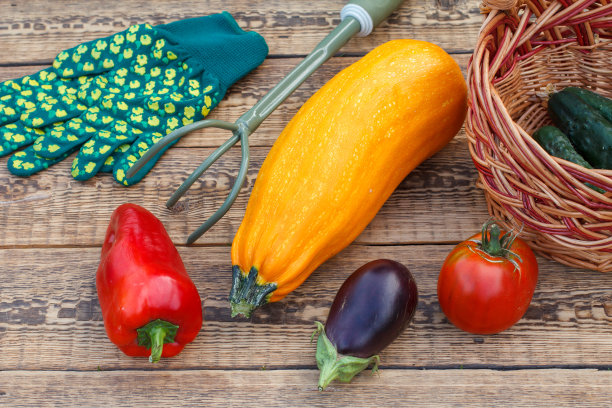 木背景柳条篮子里的蔬菜。图片下载