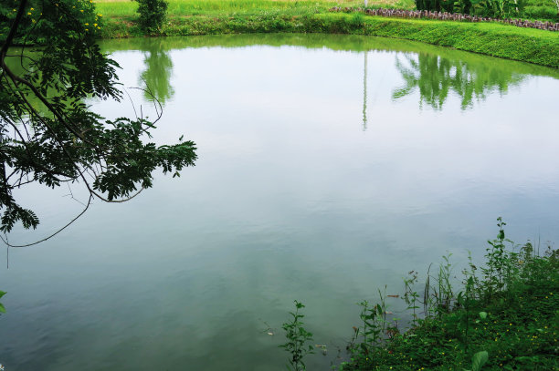 亚洲的池塘钓鱼图片下载