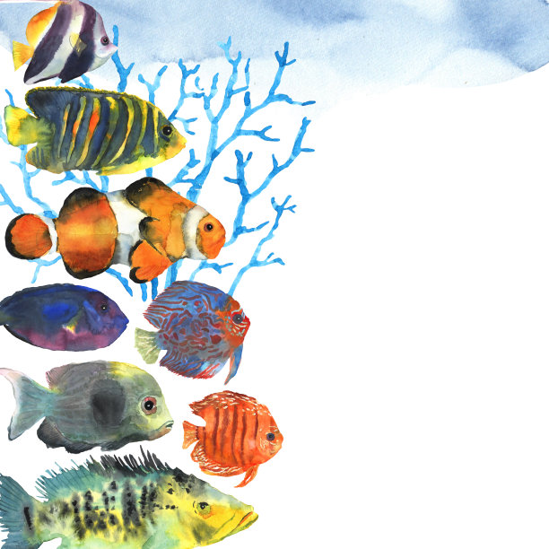色彩斑斓的异国热带鱼框，为您的文字，手绘水彩装饰设计。水下世界。网站图标符号图片下载