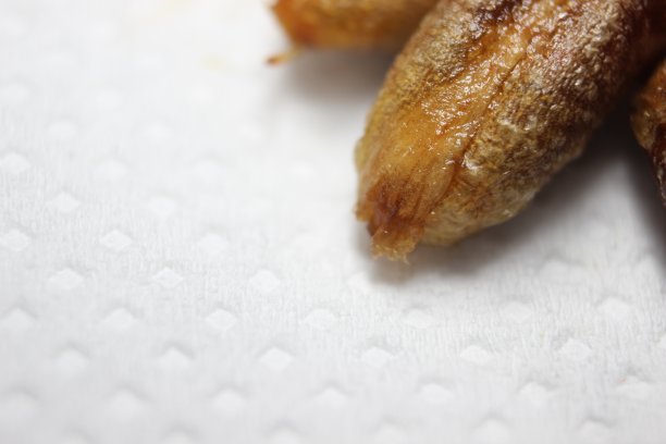 在白色背景上孤立的枣或棕榈种子。图片下载