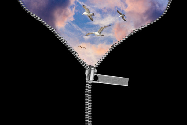 彩色天空海鸥拉链图片下载