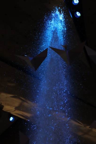 瀑布鸟图片下载