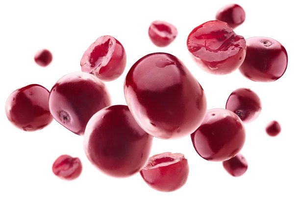 红色的樱桃果漂浮在白色的背景上图片下载