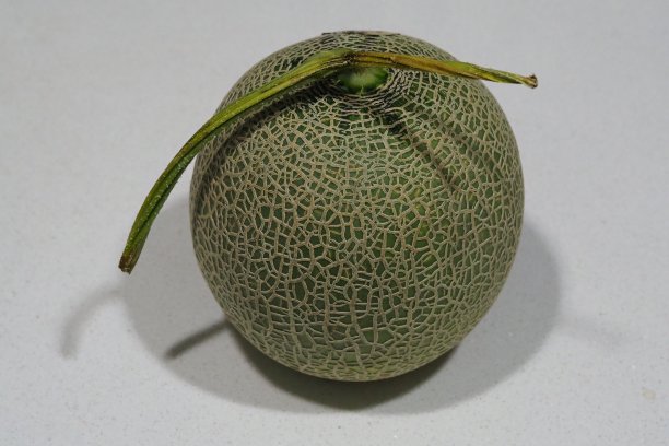 桌上放着日本瓜图片下载