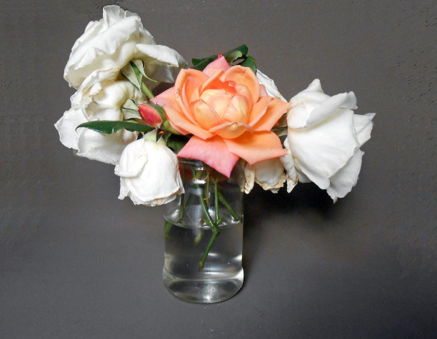 给心爱的人一束花图片下载