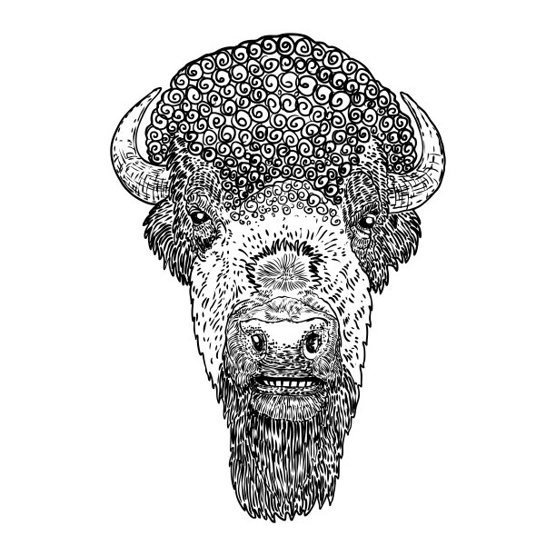 美洲本土野牛的头像。水牛手绘。牛脸，精神象征和部落动物。象征着力量和力量。旅行和冒险向量。图片下载