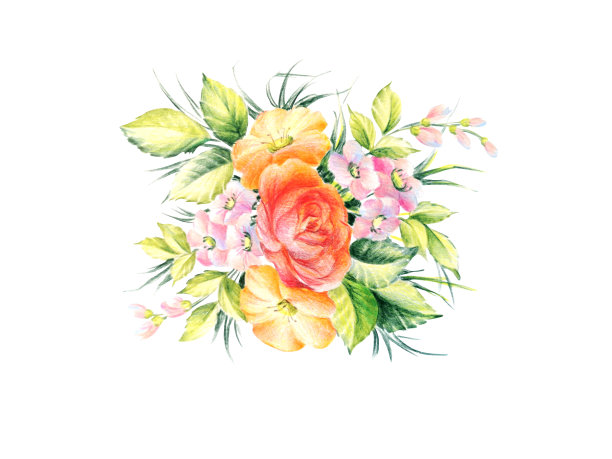 夏日草地上的玫瑰和白色背景上的小花分开了图片下载