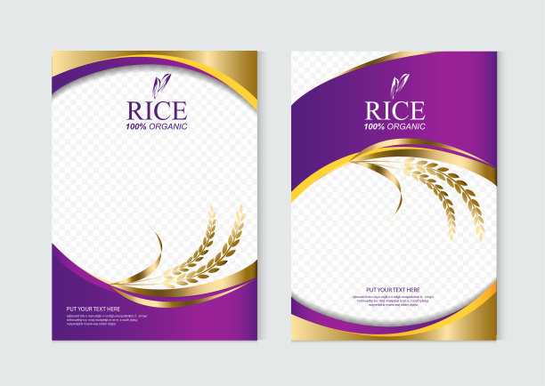 大米食品或泰国食品，横幅和海报模板矢量设计。图片下载