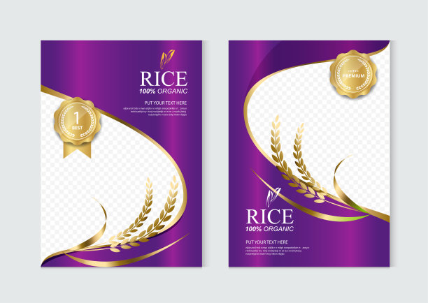 大米食品或泰国食品，横幅和海报模板矢量设计。图片下载