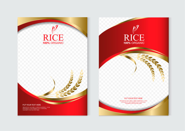 大米食品或泰国食品，横幅和海报模板矢量设计。图片下载