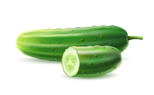 现实黄瓜绿色茎叶花图片下载