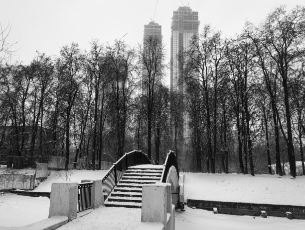 冬季公园的桥图片下载