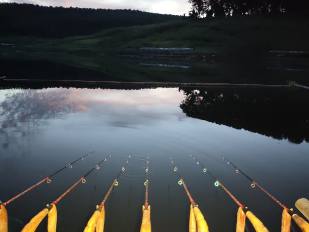 在清晨钓鱼图片下载