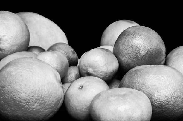 孤立的单色柑橘在黑色背景。橘子，橘子，酸橙，柚子，葡萄柚。图片下载