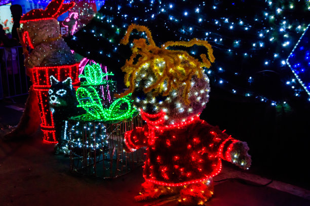 夜晚的灯光。装饰圣诞节和新年假期在城市公园图片下载