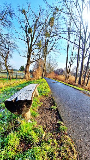 板凳上的成熟图片下载