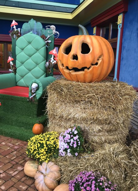 俄罗斯索契公园的万圣节装饰。南瓜图片下载