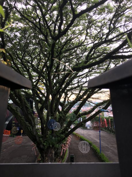 日出在城里图片下载