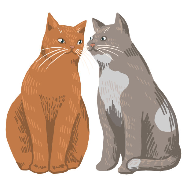 可爱的猫咪夫妇在爱。手绘矢量插图。浪漫的动物画孤立在白色。卡通单元素为情人节设计，印刷，贴纸，邀请，卡片图片下载