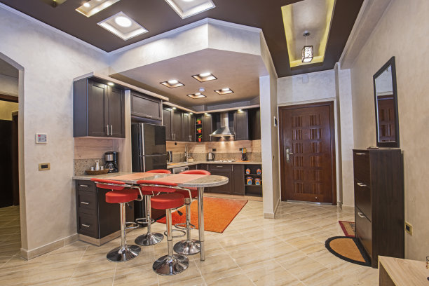 豪华公寓中的现代厨房图片下载