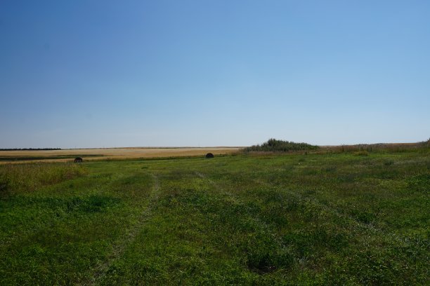 格拉迪斯岭集合图片下载