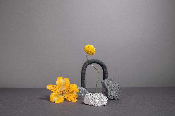 创意和简约的黑色和白色的石头，各种形状和充满活力的植物。现代几何和自然的背景与花卉。2021年流行颜色-灰色和黄色。图片下载