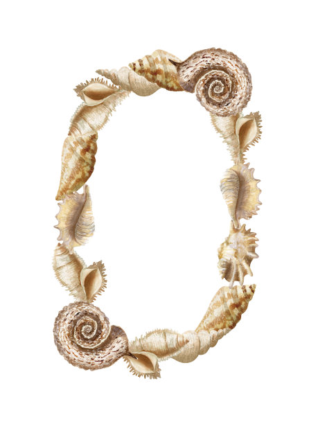 水彩垂直框架与贝壳和地方的文本图片下载