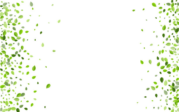 森林叶片运动模板弹簧叶片图片下载