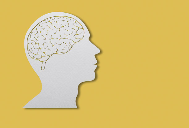 带剪切路径的剪纸人脑。图片下载