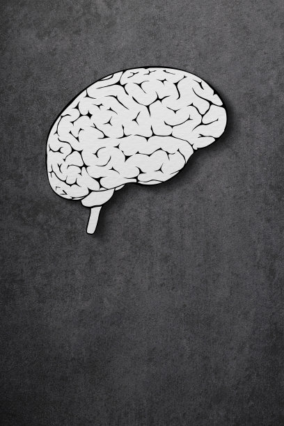 带剪切路径的剪纸人脑。图片下载