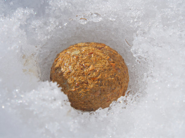 野兔粪便(雪地上)图片下载