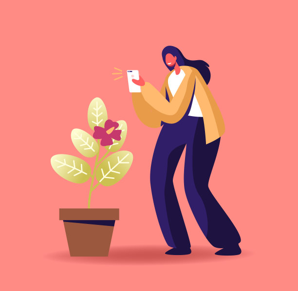 女摄影师用智能手机拍照相机拍花，拍摄花的照片。创造性的爱好,旅行图片下载