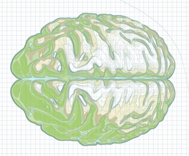 大脑的地理地图，以地图的形式改造人类的大脑。的概念。高地和地形，山地浮雕图片下载