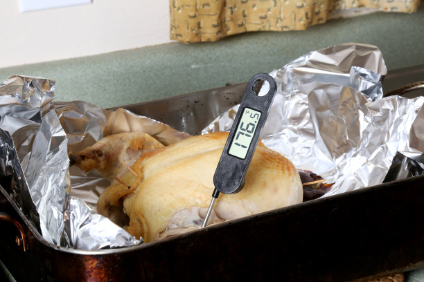 鸡体内的温度探头图片下载