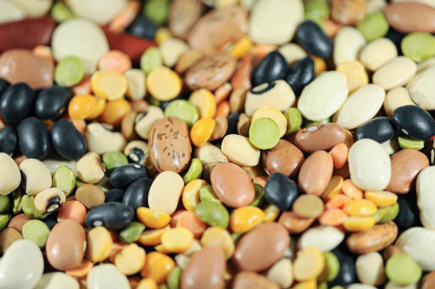 各种各样的豆子图片下载