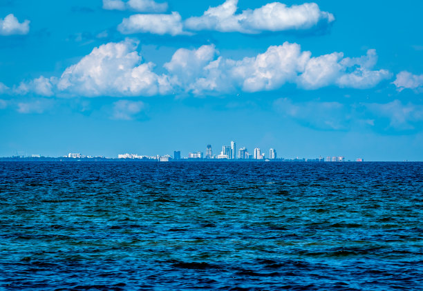 坦帕湾平静的蓝色水域图片下载