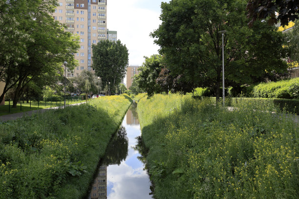 Goclaw住宅区狭窄的通道旁郁郁葱葱的植被图片下载