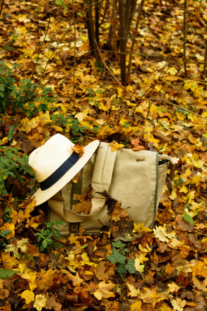 秋天的旅行。图片下载