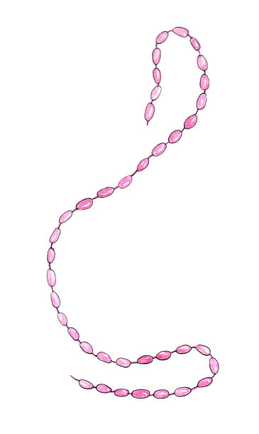 圣诞树的玩具图片下载