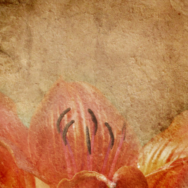 有花卉图案的旧纸图片下载