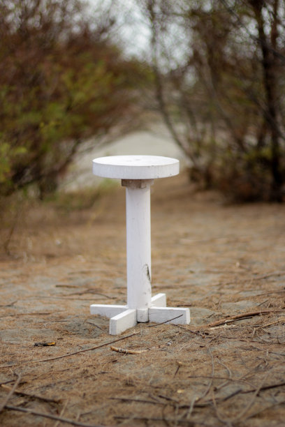 独自一人在森林图片下载