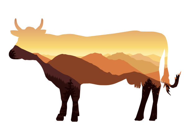 轮廓的牛图片下载