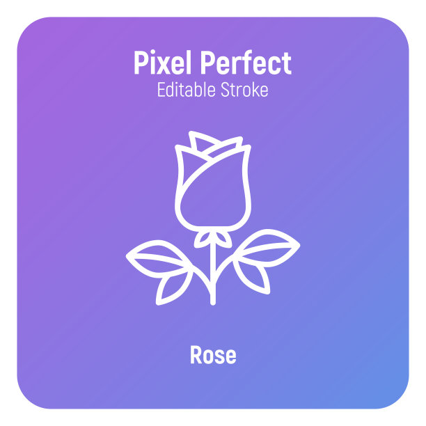 玫瑰细线图标，情人节浪漫的礼物。像素完美，可编辑的笔触。矢量插图。图片下载