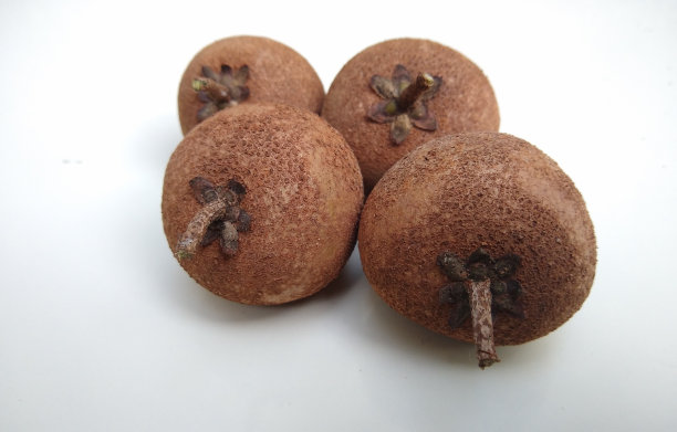 白色背景上的马尼卡拉萨帕塔(sapoilla)或萨帕塔水果图片下载